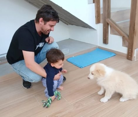 recibe a tu cachorrito